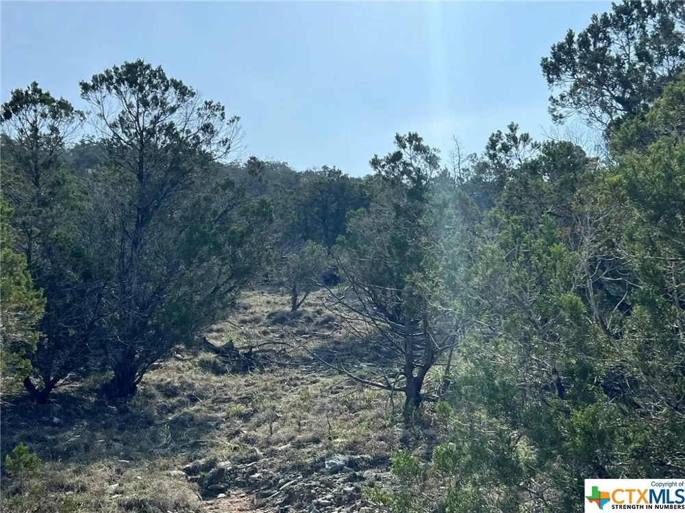 1081 Hillside View Drive New Braunfels, TX 78132