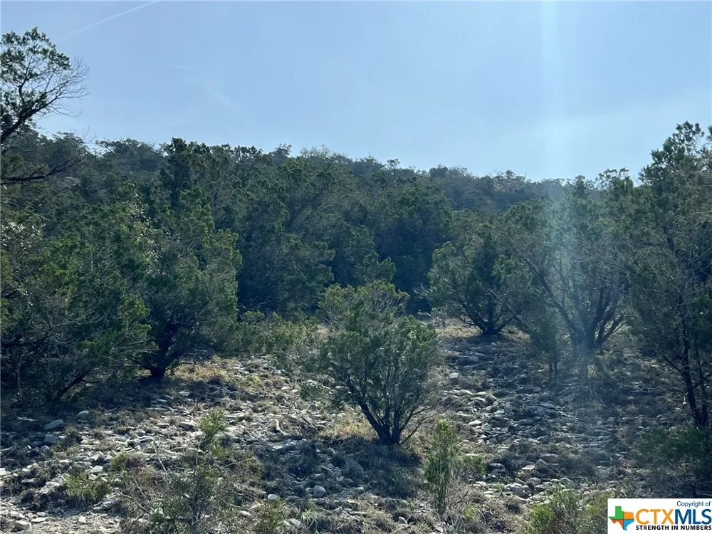 1081 Hillside View Drive New Braunfels, TX 78132
