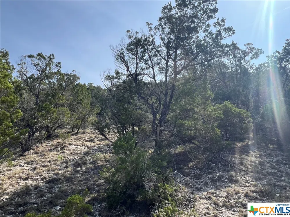 1081 Hillside View Drive New Braunfels, TX 78132