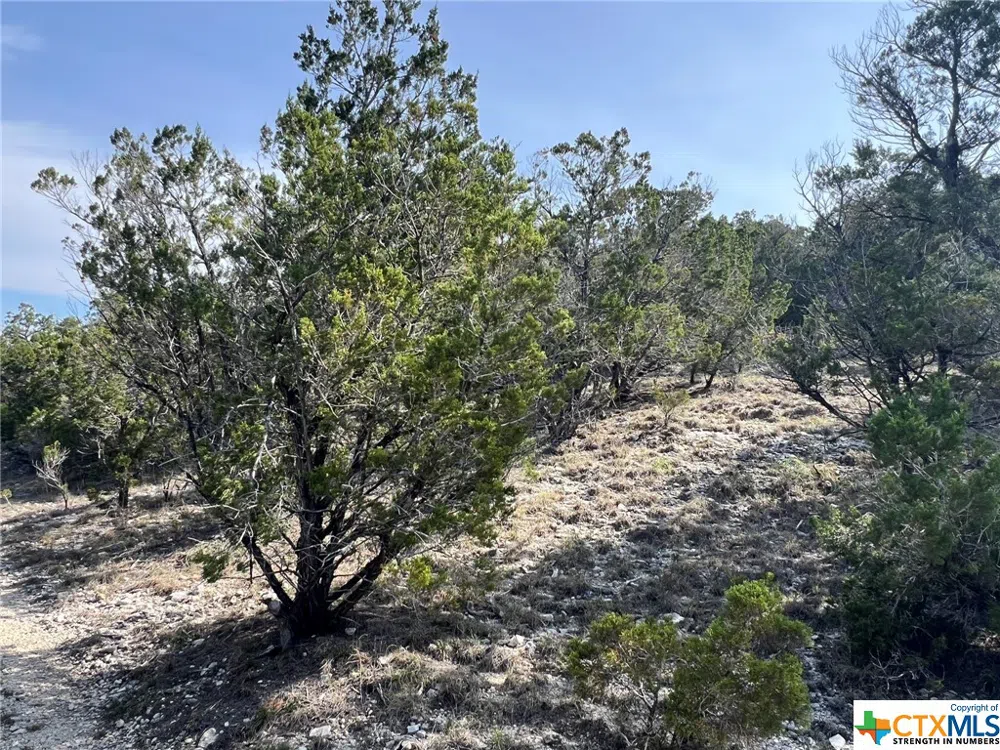 1081 Hillside View Drive New Braunfels, TX 78132
