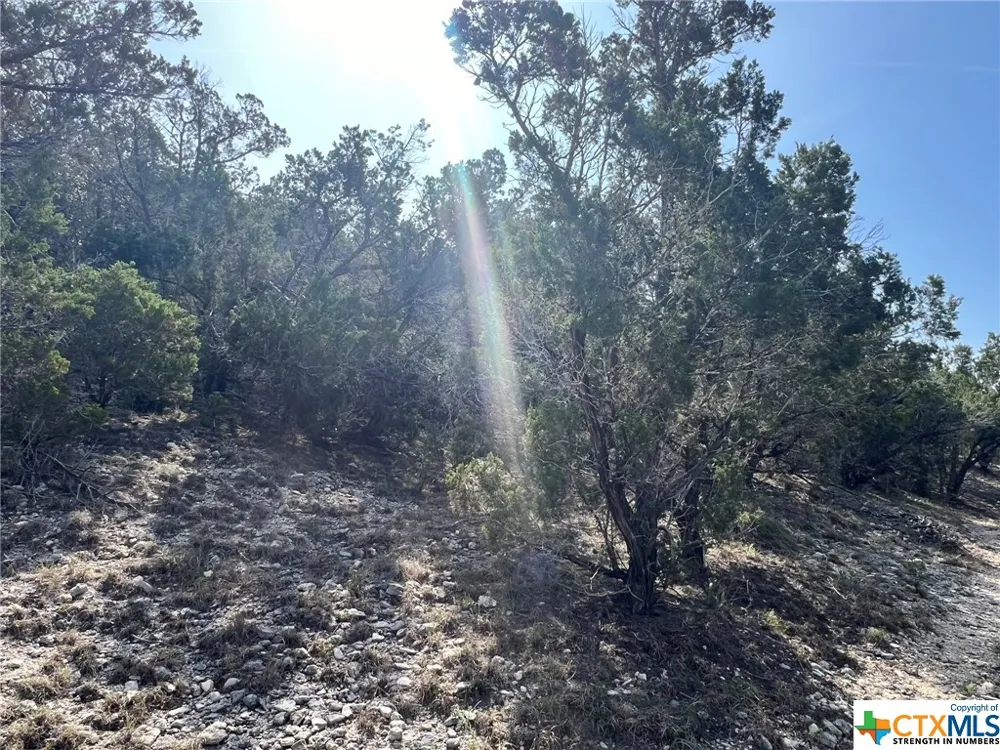 1081 Hillside View Drive New Braunfels, TX 78132