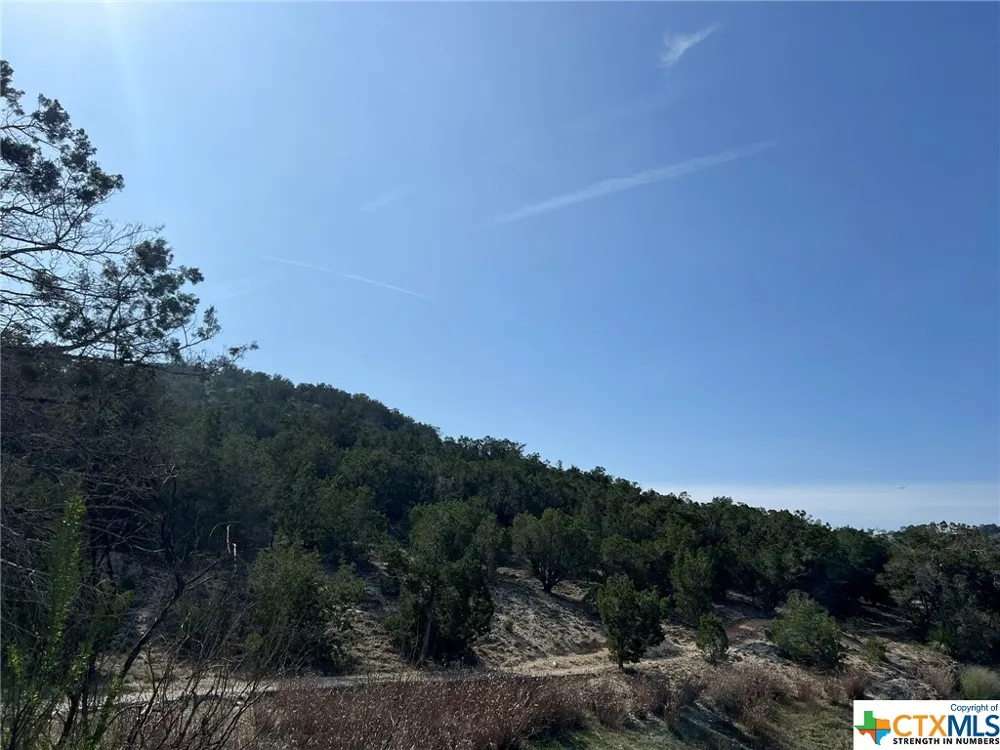 1081 Hillside View Drive New Braunfels, TX 78132