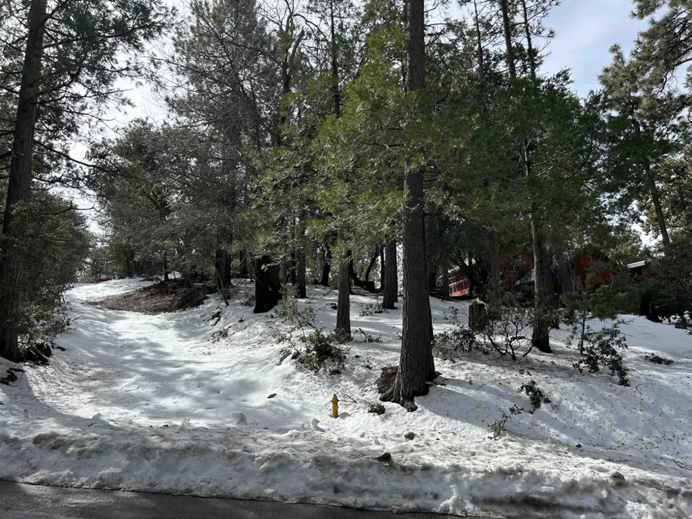 8 Saunders Meadow Rd Idyllwild, CA 92549