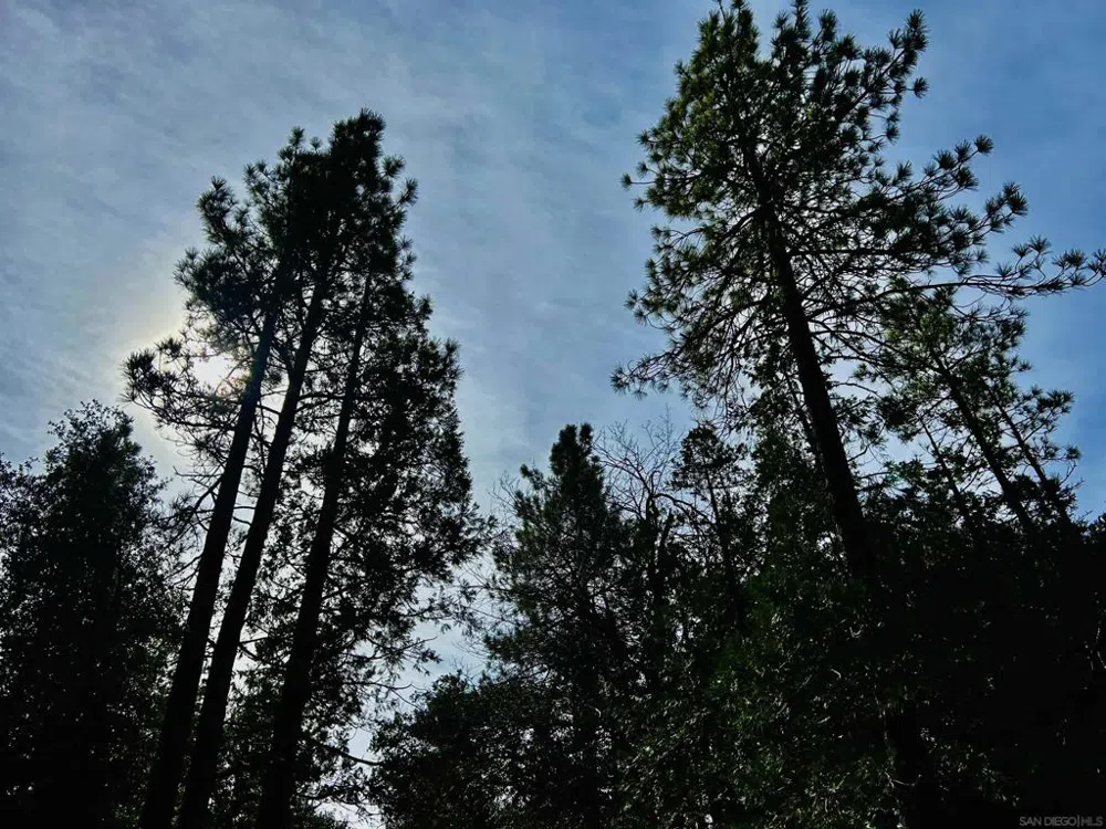 8 Saunders Meadow Rd Idyllwild, CA 92549