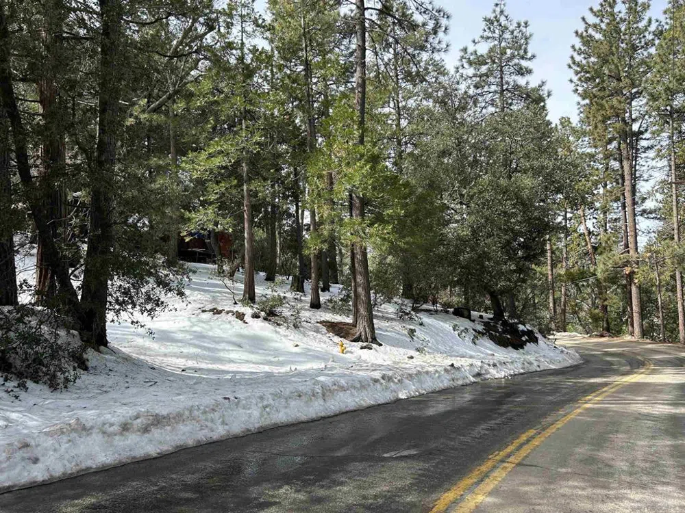 8 Saunders Meadow Rd Idyllwild, CA 92549