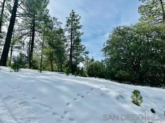 8 Saunders Meadow Rd Idyllwild, CA 92549