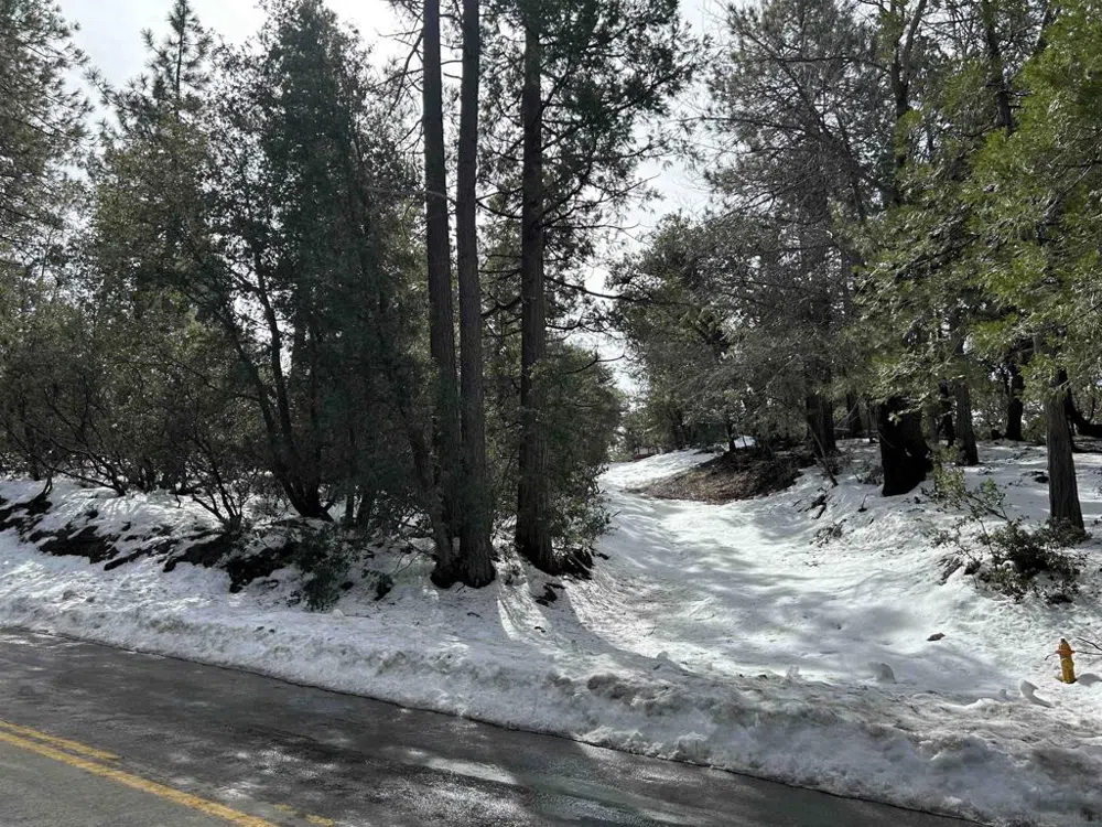 8 Saunders Meadow Rd Idyllwild, CA 92549