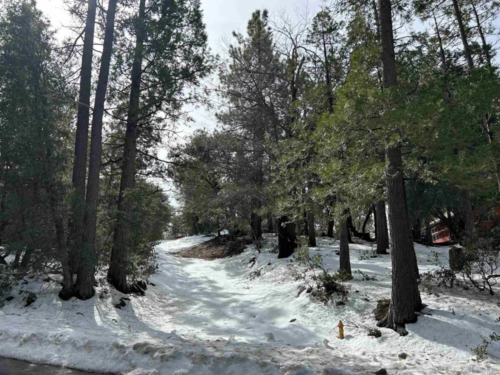 8 Saunders Meadow Rd Idyllwild, CA 92549