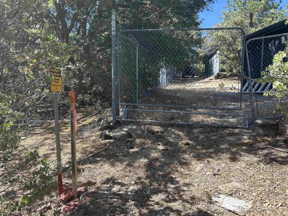8 Saunders Meadow Rd Idyllwild, CA 92549