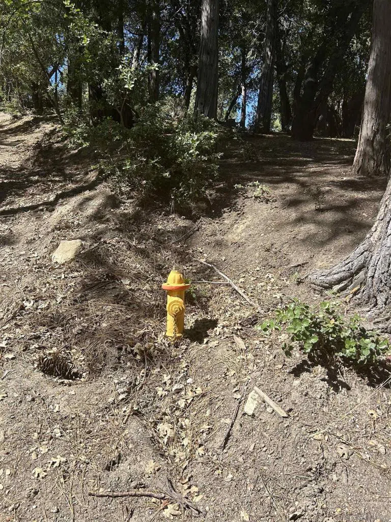 8 Saunders Meadow Rd Idyllwild, CA 92549