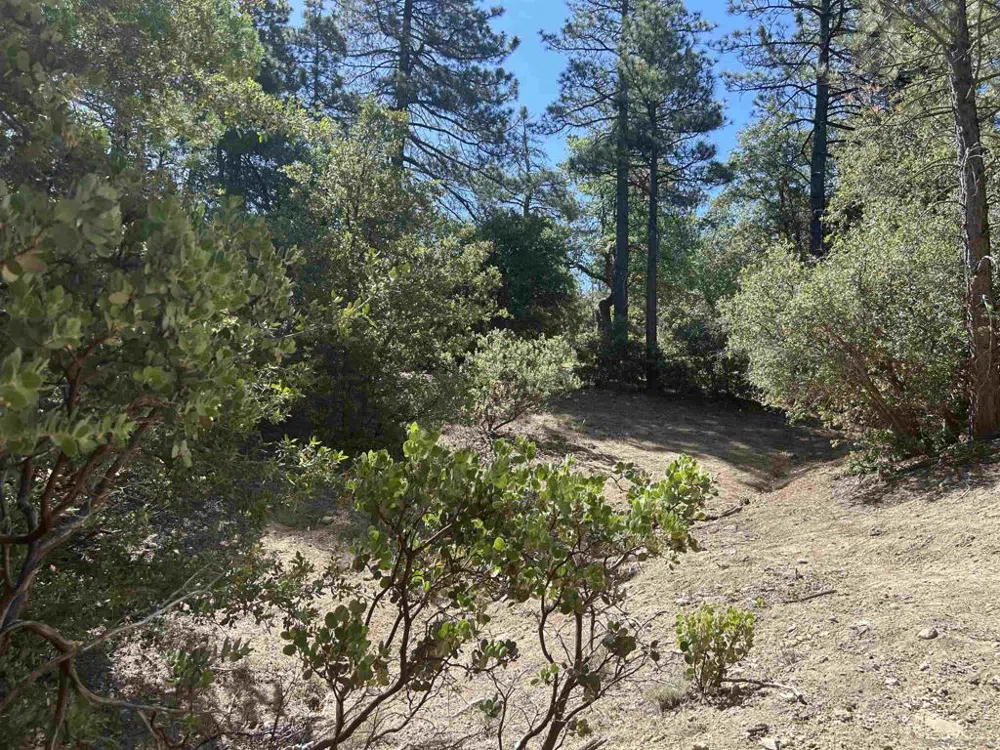 8 Saunders Meadow Rd Idyllwild, CA 92549