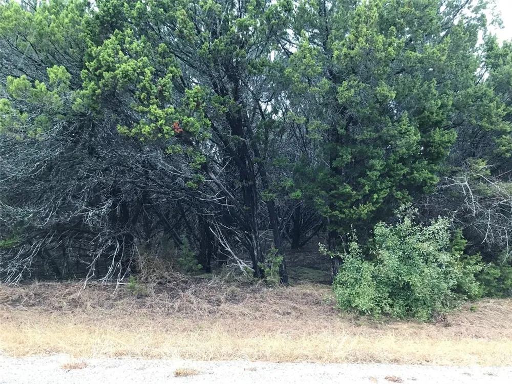25060 Southhill Drive Whitney, TX 76692
