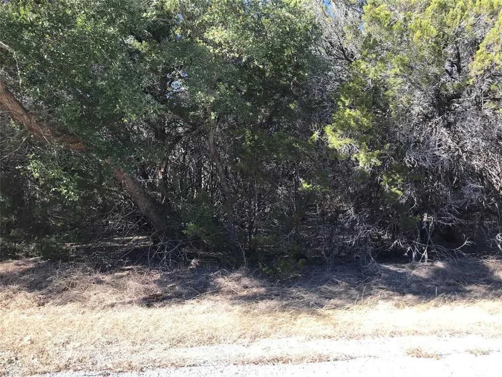 25060 Southhill Drive Whitney, TX 76692
