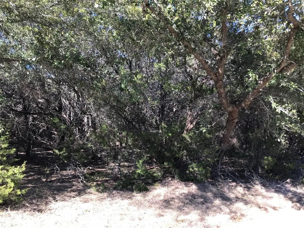 25060 Southhill Drive Whitney, TX 76692