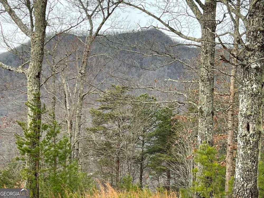 LOT 137 Shiloh Ridge Hayesville, NC 28904