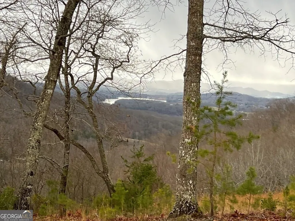 LOT 137 Shiloh Ridge Hayesville, NC 28904