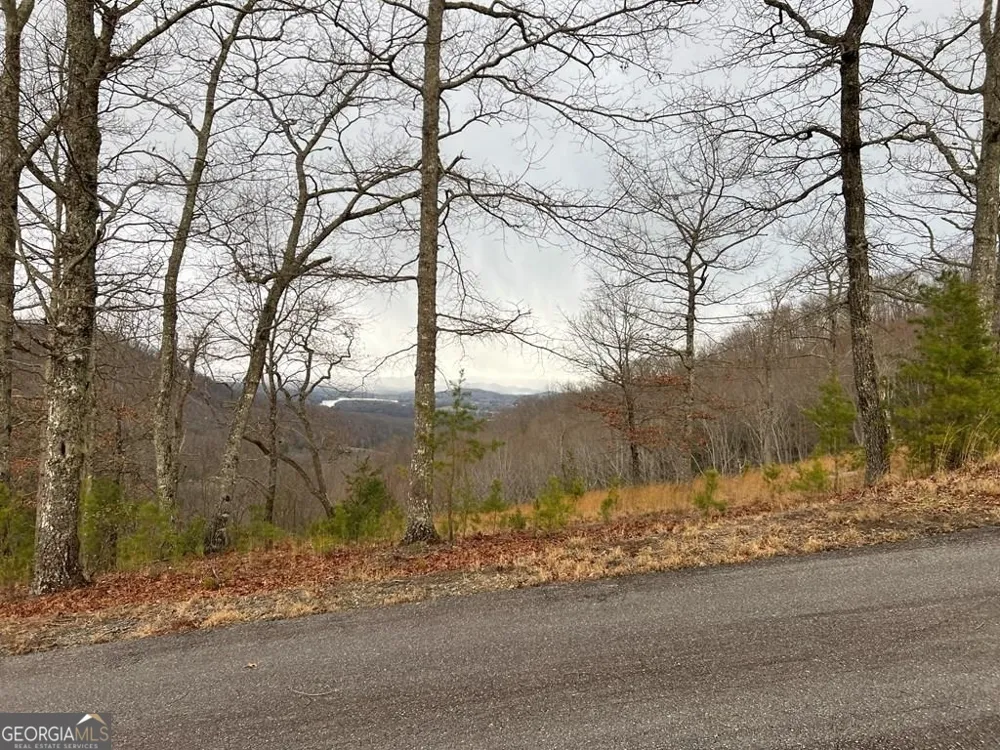 LOT 137 Shiloh Ridge Hayesville, NC 28904