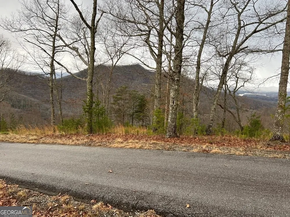 LOT 137 Shiloh Ridge Hayesville, NC 28904