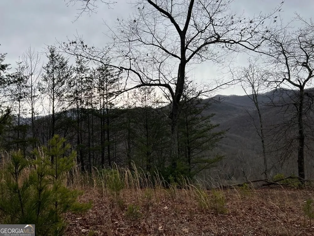 LOT 137 Shiloh Ridge Hayesville, NC 28904