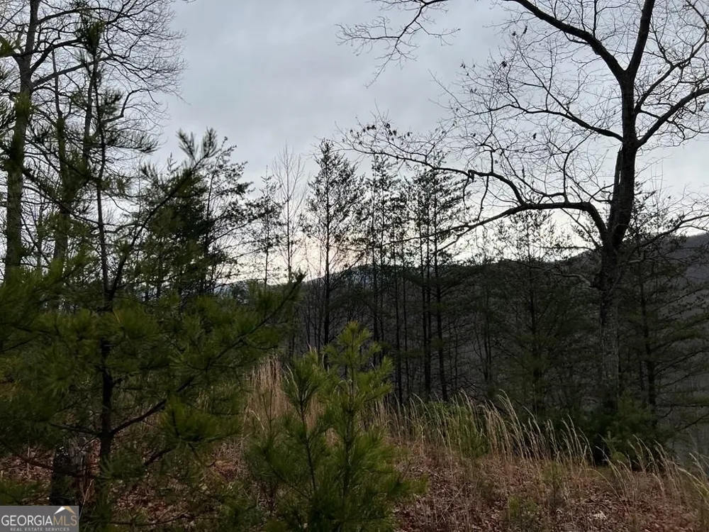 LOT 137 Shiloh Ridge Hayesville, NC 28904