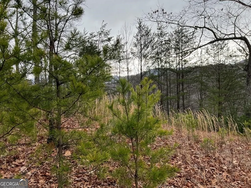 LOT 137 Shiloh Ridge Hayesville, NC 28904