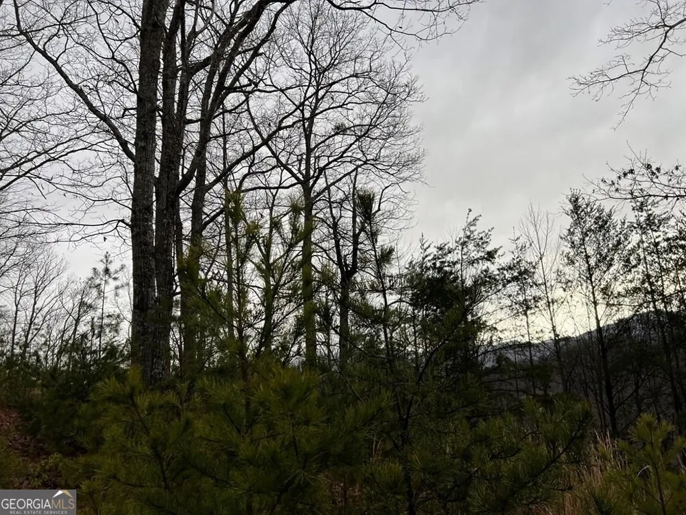 LOT 137 Shiloh Ridge Hayesville, NC 28904