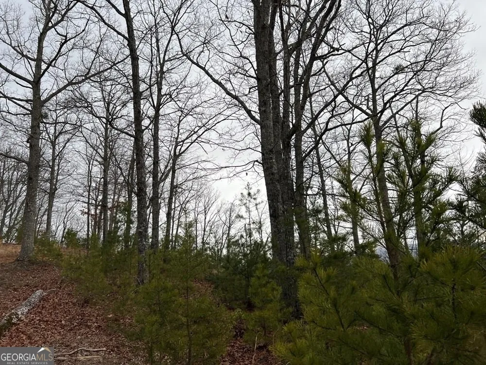 LOT 137 Shiloh Ridge Hayesville, NC 28904