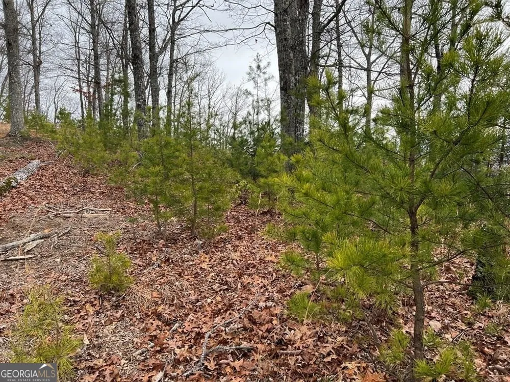 LOT 137 Shiloh Ridge Hayesville, NC 28904