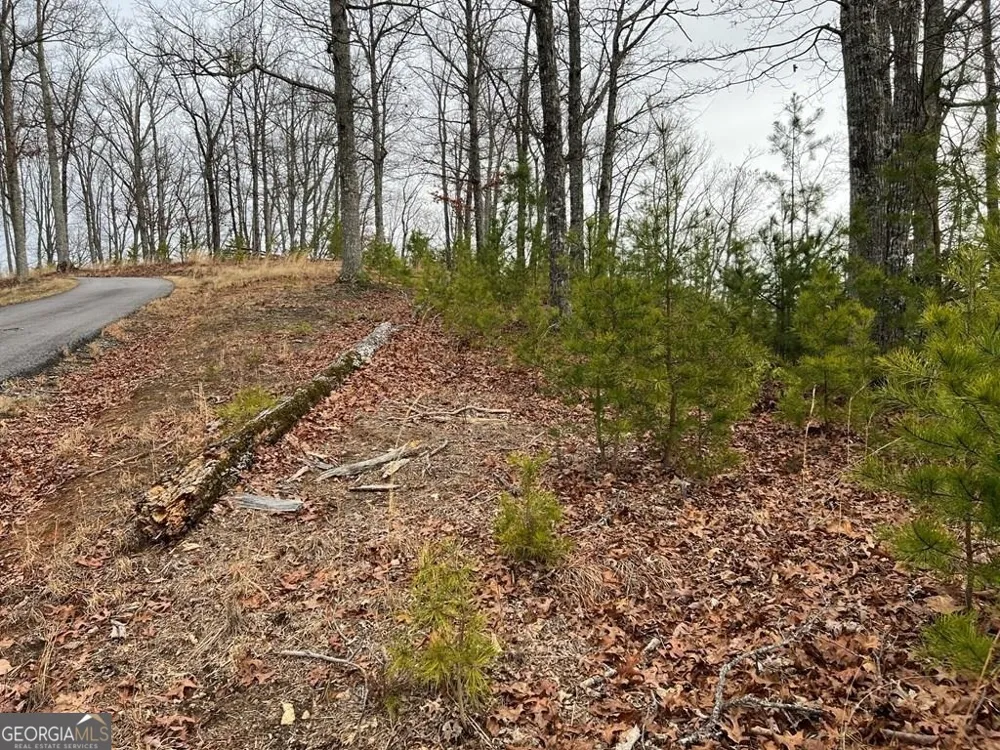 LOT 137 Shiloh Ridge Hayesville, NC 28904