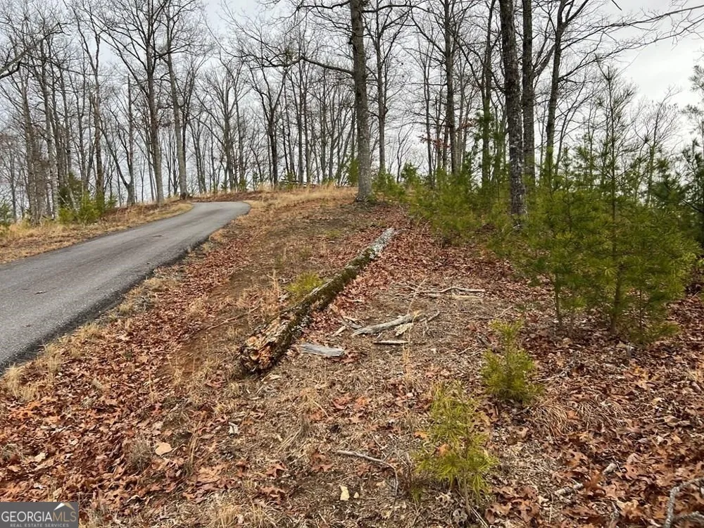 LOT 137 Shiloh Ridge Hayesville, NC 28904