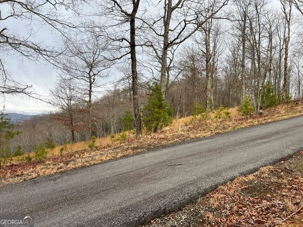 LOT 137 Shiloh Ridge Hayesville, NC 28904