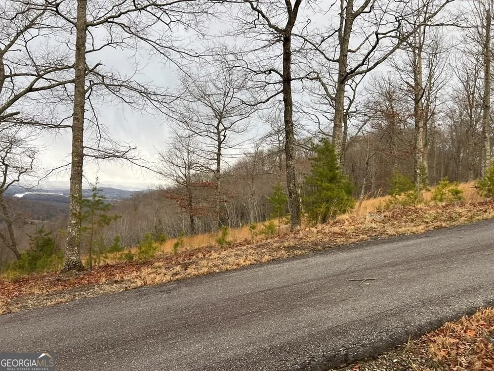 LOT 137 Shiloh Ridge Hayesville, NC 28904
