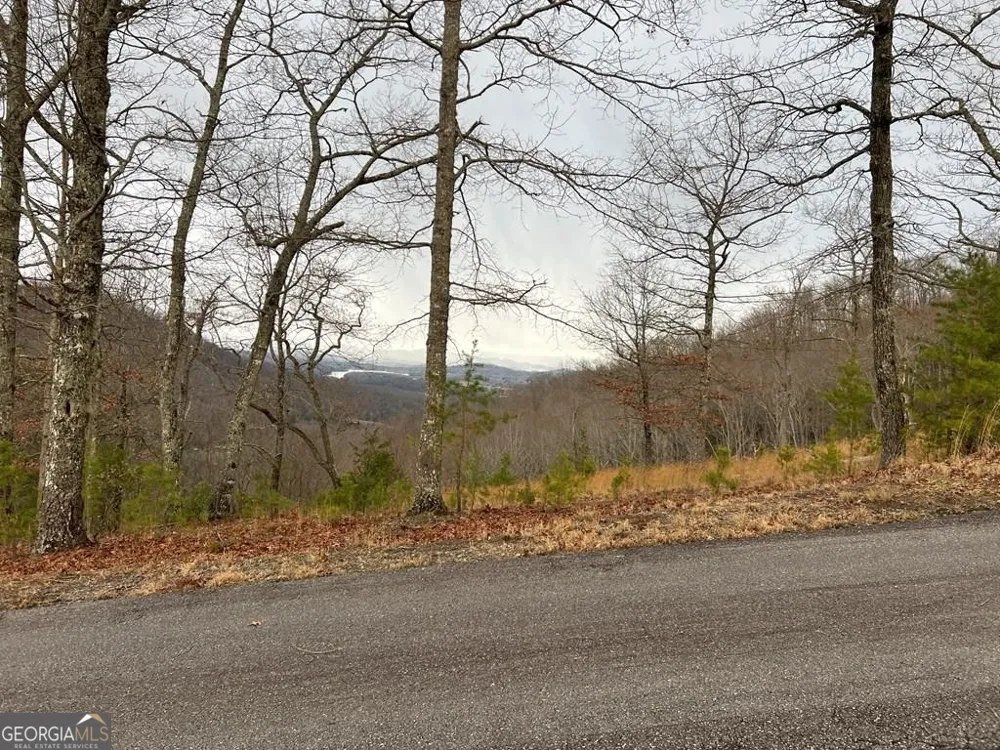 LOT 137 Shiloh Ridge Hayesville, NC 28904