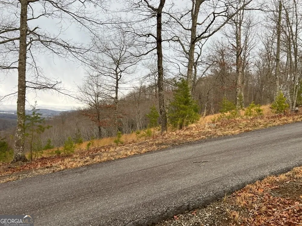 LOT 137 Shiloh Ridge Hayesville, NC 28904