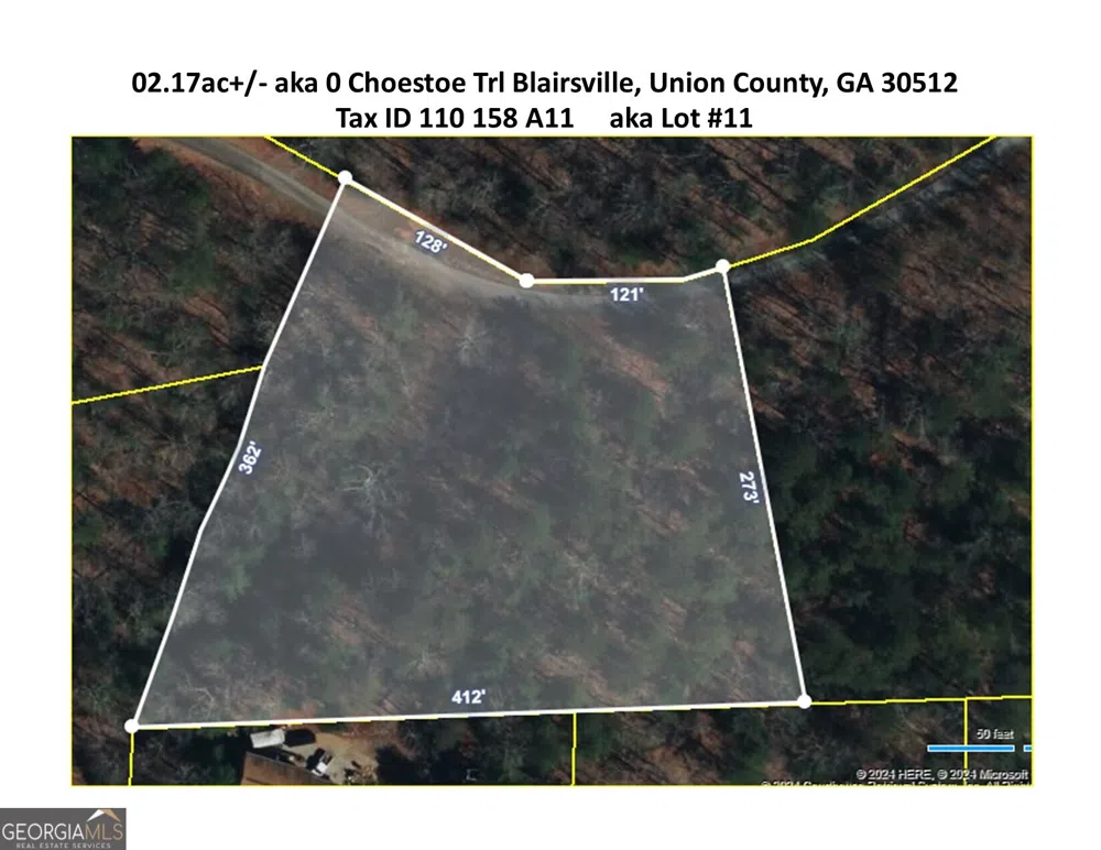 02.17AC LOT 11 Choestoe TRL Blairsville, GA 30512
