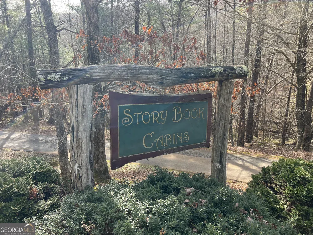02.17AC LOT 11 Choestoe TRL Blairsville, GA 30512