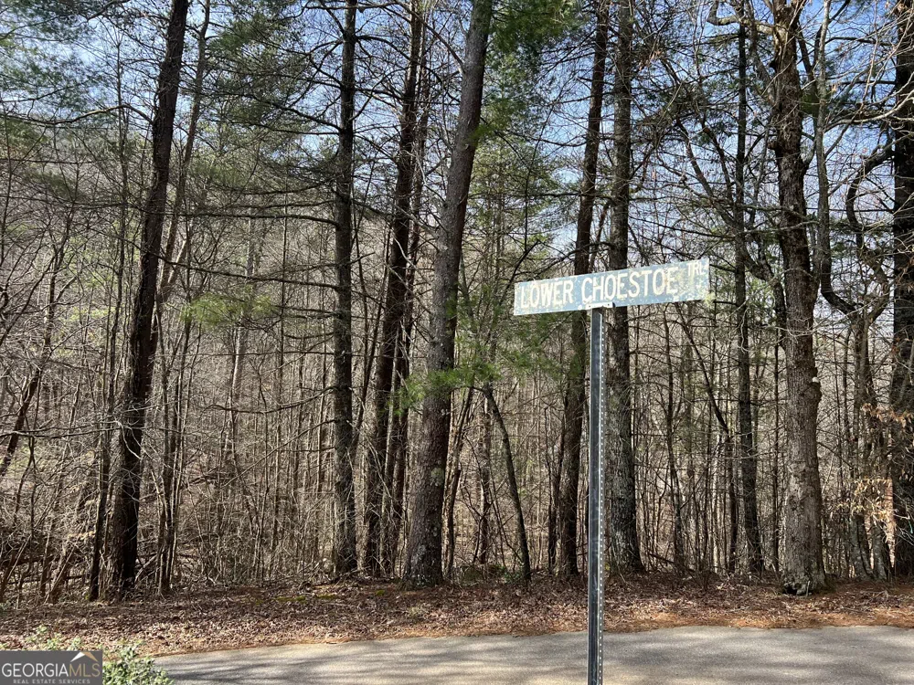 02.17AC LOT 11 Choestoe TRL Blairsville, GA 30512