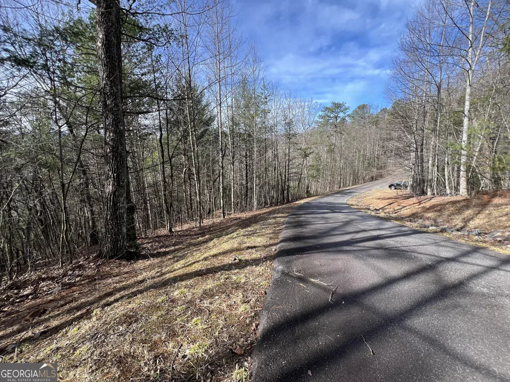 02.17AC LOT 11 Choestoe TRL Blairsville, GA 30512