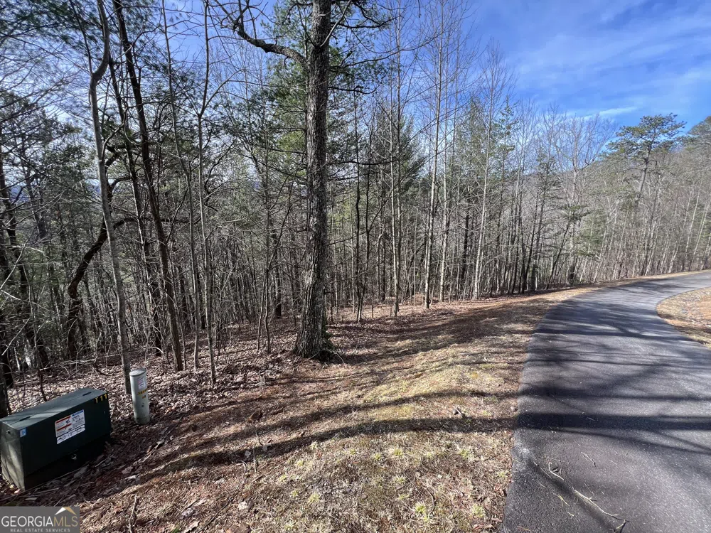 02.17AC LOT 11 Choestoe TRL Blairsville, GA 30512