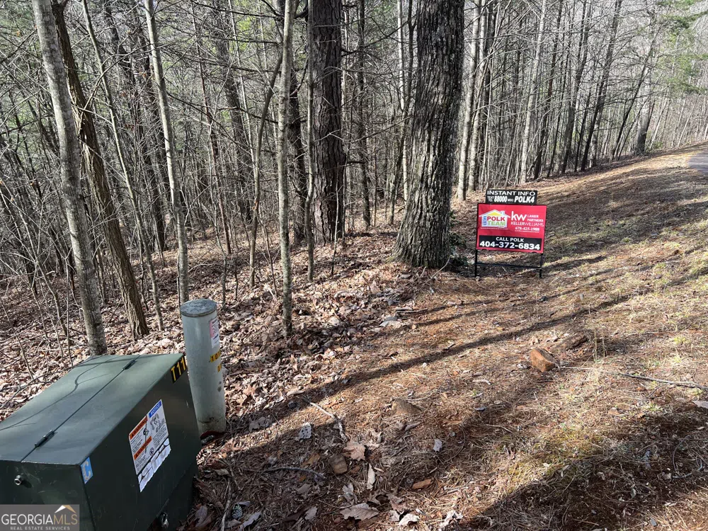 02.17AC LOT 11 Choestoe TRL Blairsville, GA 30512