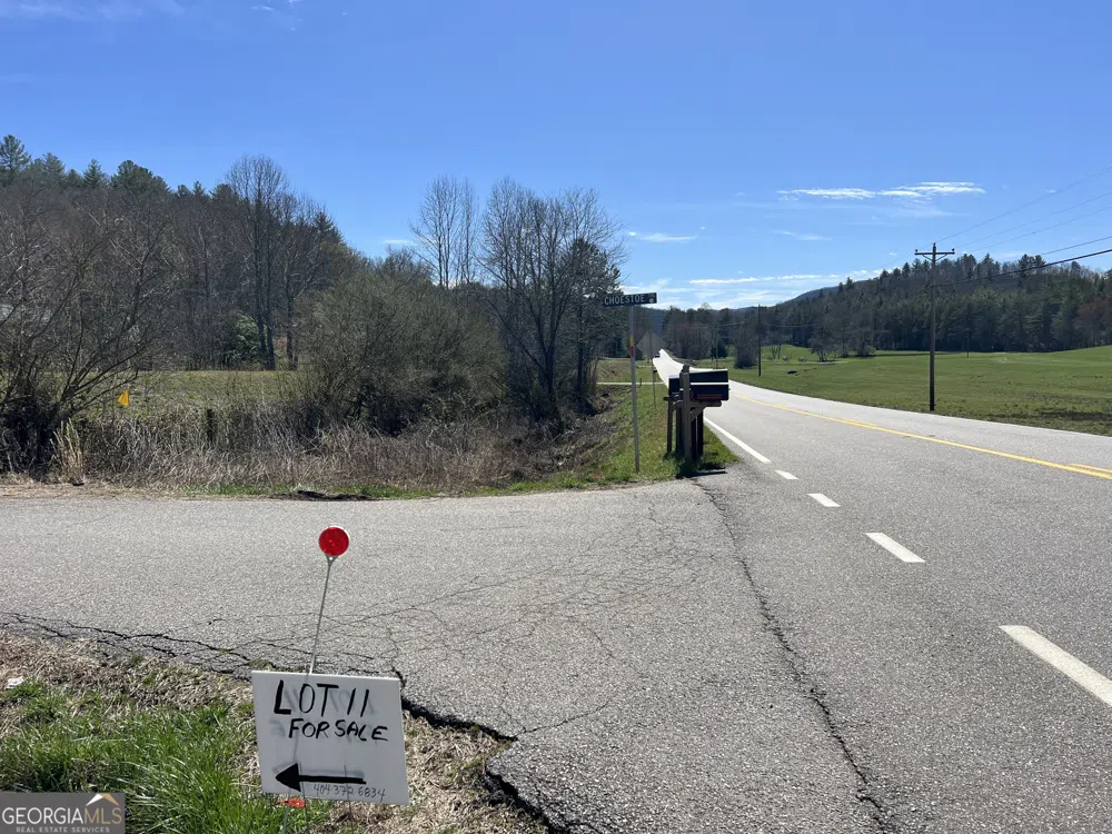 02.17AC LOT 11 Choestoe TRL Blairsville, GA 30512