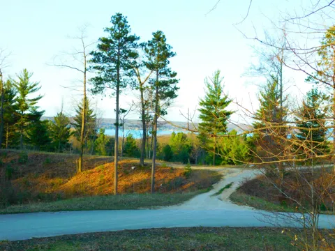 Indigo Trail