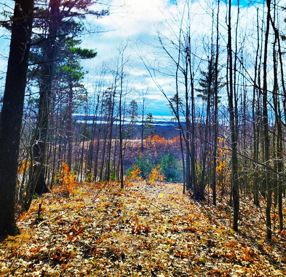 Indigo Trail Onekama, MI 49675
