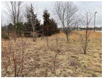 6300 Prairie Street Norton Shores, MI 49444