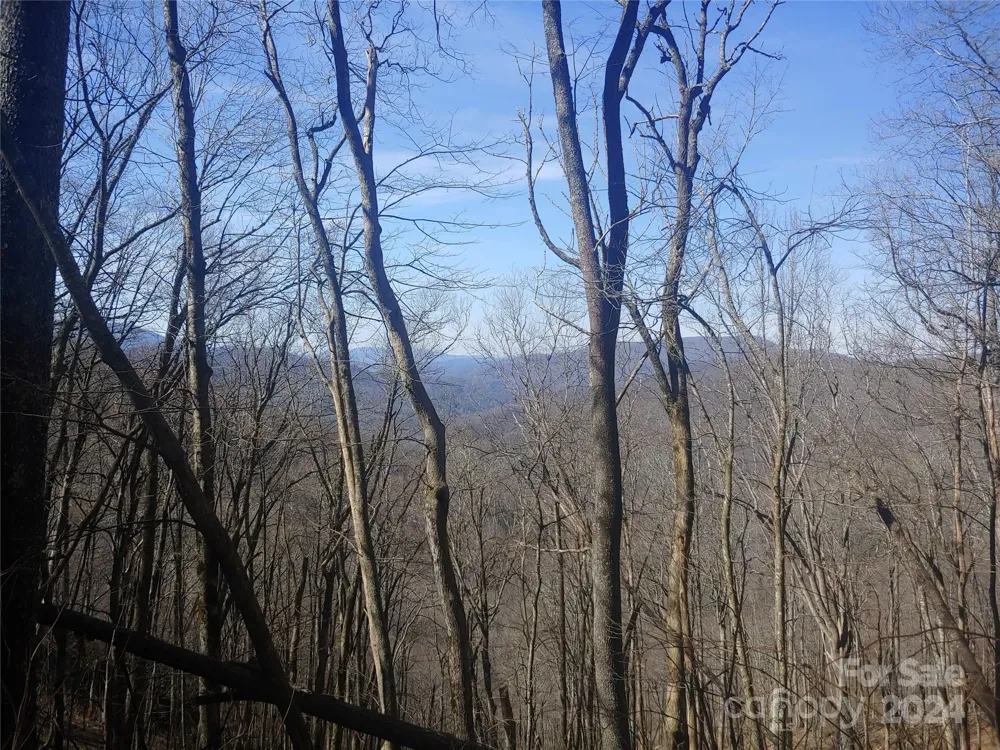 34 Barn Cove Road Clyde, NC 28721