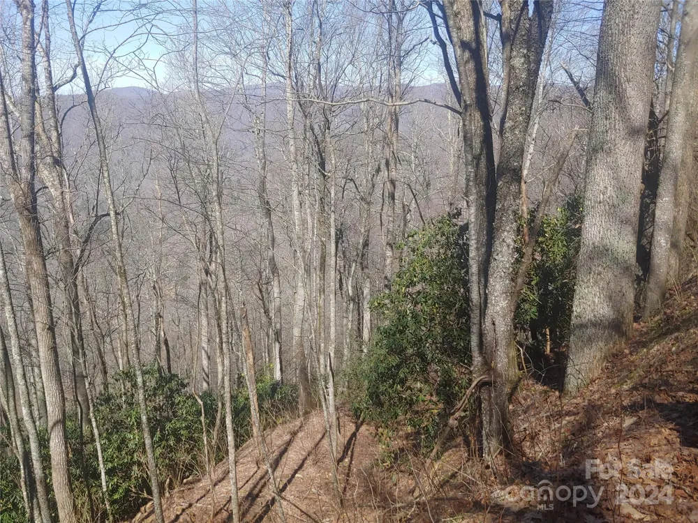 34 Barn Cove Road Clyde, NC 28721