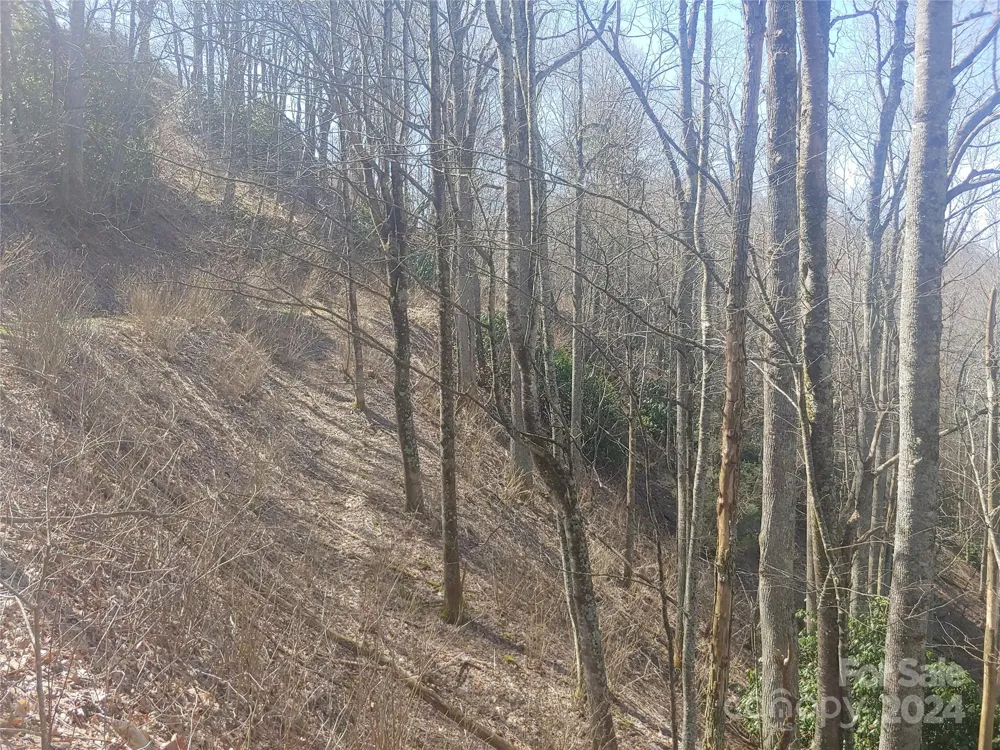 38 Barn Cove Road Clyde, NC 28721