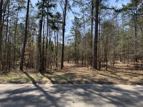 1403 TANYARD CREEK DRIVE