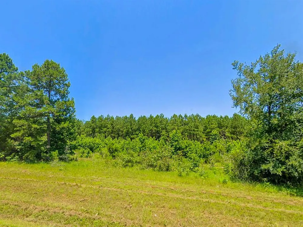 HWY 155 Avinger, TX 68846