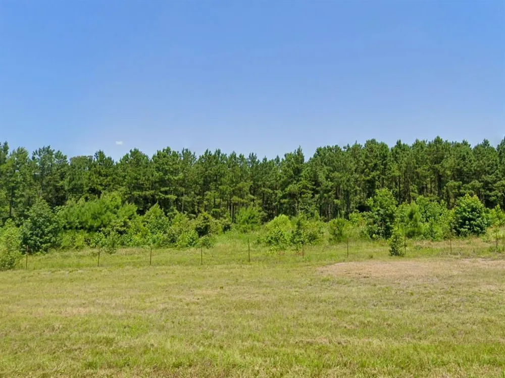 HWY 155 Avinger, TX 68846